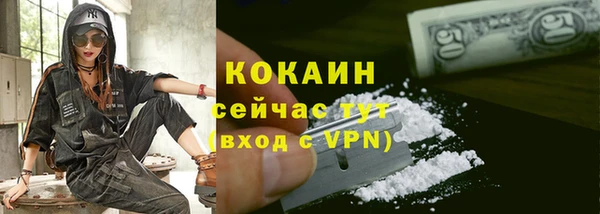 гидра Медвежьегорск