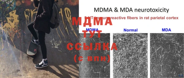 гидра Медвежьегорск